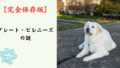 【完全保存版】グレート・ピレニーズの謎：なぜ「白い守護神」なの？　モフモフの巨体に秘められた、誇り高き番犬の本能！