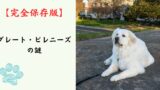 【完全保存版】グレート・ピレニーズの謎：なぜ「白い守護神」なの？　モフモフの巨体に秘められた、誇り高き番犬の本能！