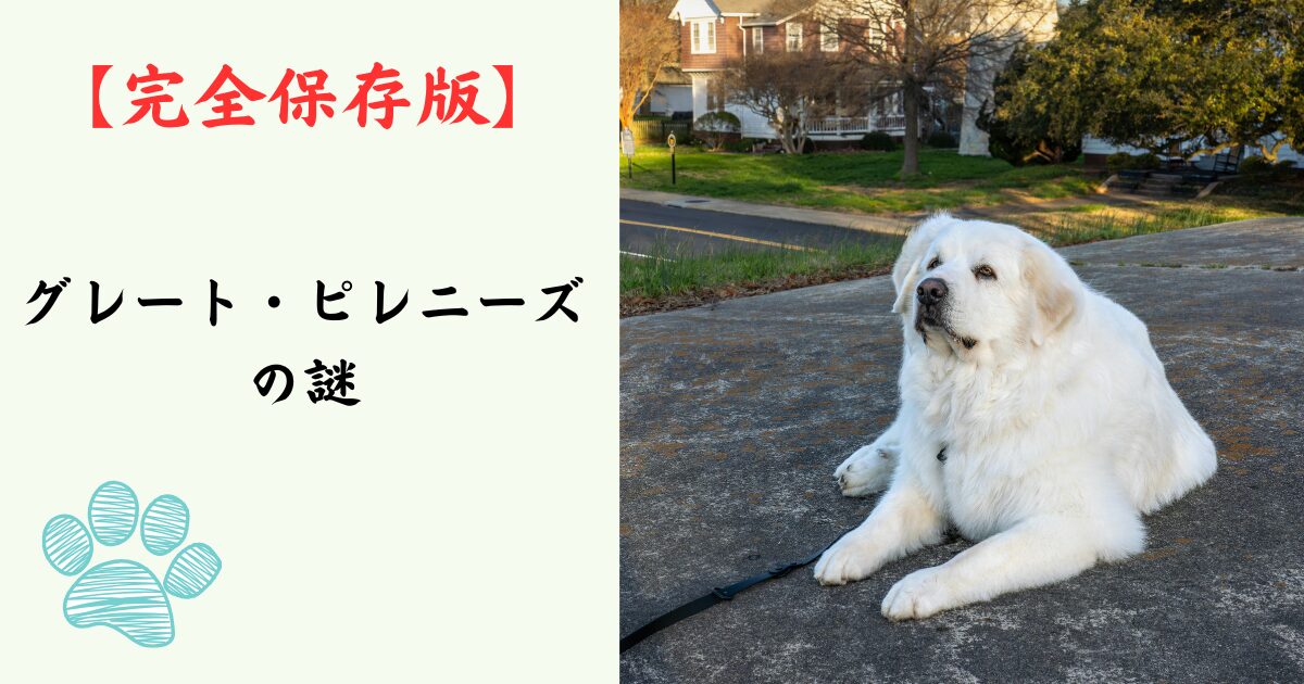 【完全保存版】グレート・ピレニーズの謎：なぜ「白い守護神」なの？　モフモフの巨体に秘められた、誇り高き番犬の本能！