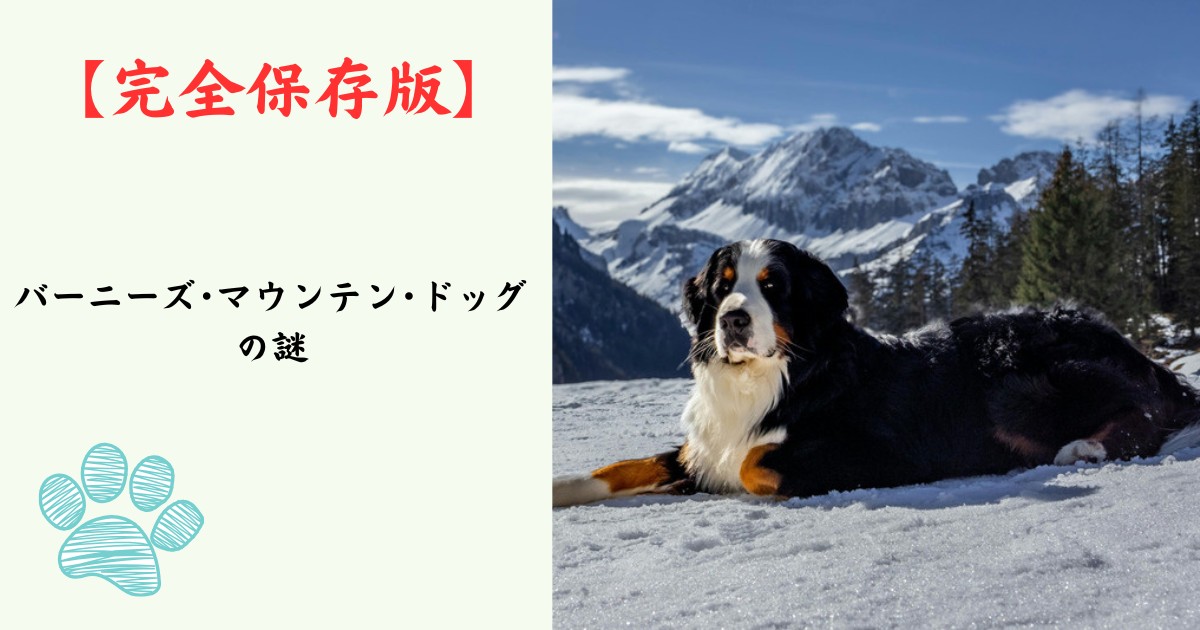 【完全保存版】バーニーズ・マウンテン・ドッグの謎：なぜ「三色の守護神」なの？　スイスの山々が育んだ慈愛に満ちた巨人の素顔！