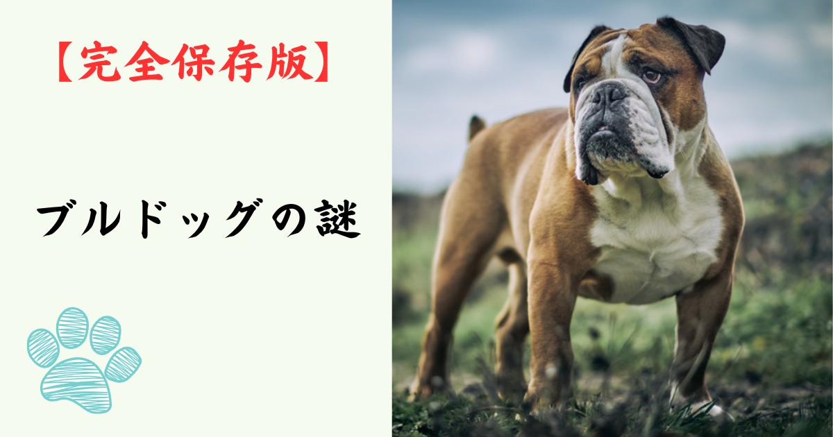 【完全保存版】ブルドッグの謎：なぜ「不屈のシンボル」なの？　強面（こわもて）に隠された究極の甘えん坊気質！
