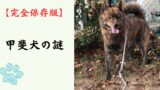 【完全保存版】甲斐犬の謎：なぜ「一代一主」と呼ばれる？　山岳地帯が生んだ虎毛のスピードスター！