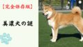 【完全保存版】美濃犬の謎：なぜ「幻の地犬」なの？　燃えるような緋赤に宿る不屈の生命力！