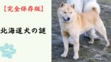 【完全保存版】北海道犬の謎：なぜ「雪原の勇者」なの？　アイヌと共にヒグマへ立ち向かった不屈の精神！