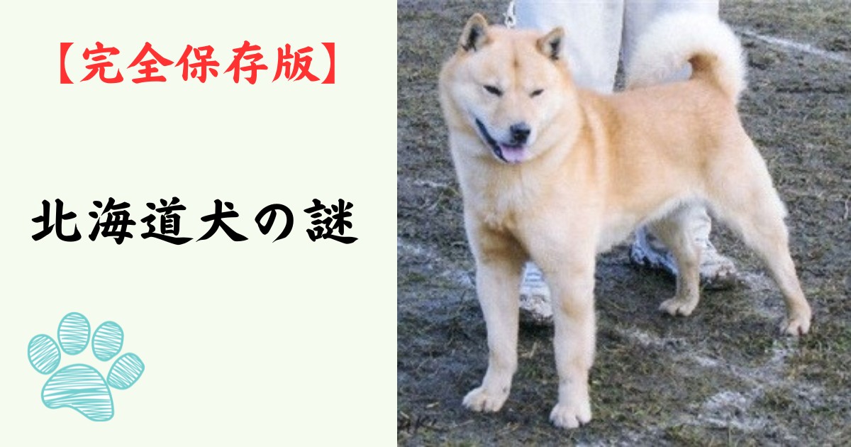 【完全保存版】北海道犬の謎:なぜ「雪原の勇者」なの? アイヌと共にヒグマへ立ち向かった不屈の精神! 【完全保存版】北海道犬の謎:なぜ「雪原の勇者」なの? アイヌと共にヒグマへ立ち向かった不屈の精神!