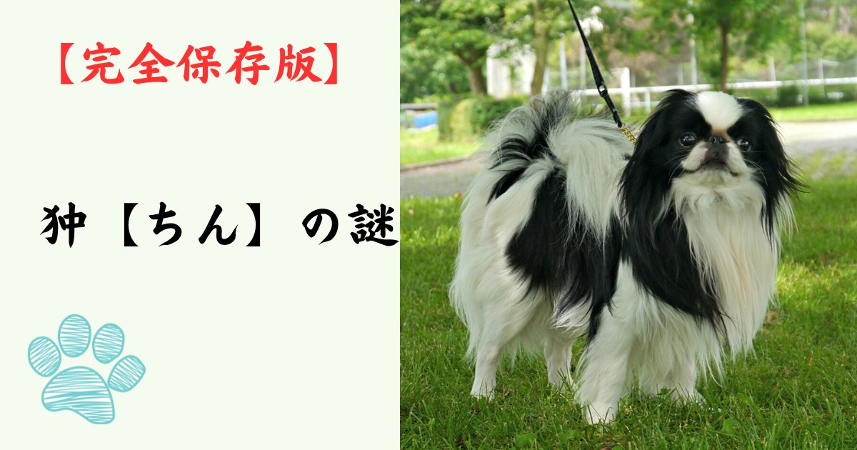 【完全保存版】狆（ちん）の謎：なぜ「日本最古の癒やし系」なの？　江戸の殿様を虜にした高貴な素顔！