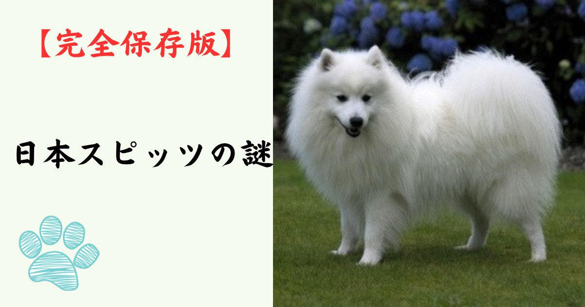 【完全保存版】日本スピッツの謎：なぜ「真っ白な笑顔」なの？　昭和のブームから復活した貴公子の素顔！
