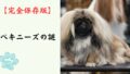【完全保存版】ペキニーズの謎：なぜ「宮廷の神獣」なの？　獅子の心を持つ高貴な鼻ぺちゃ犬！