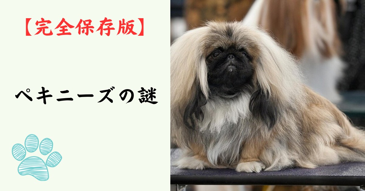 【完全保存版】ペキニーズの謎：なぜ「宮廷の神獣」なの？　獅子の心を持つ高貴な鼻ぺちゃ犬！