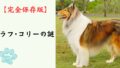 【完全保存版】ラフ・コリーの謎：なぜ「永遠の名犬」なの？　優雅な飾り毛に隠された驚異の知性と忠誠心！