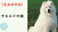 【完全保存版】サモエドの謎：なぜ「サモエド・スマイル」なの？　極寒のシベリアが育んだ白い微笑みの天使！