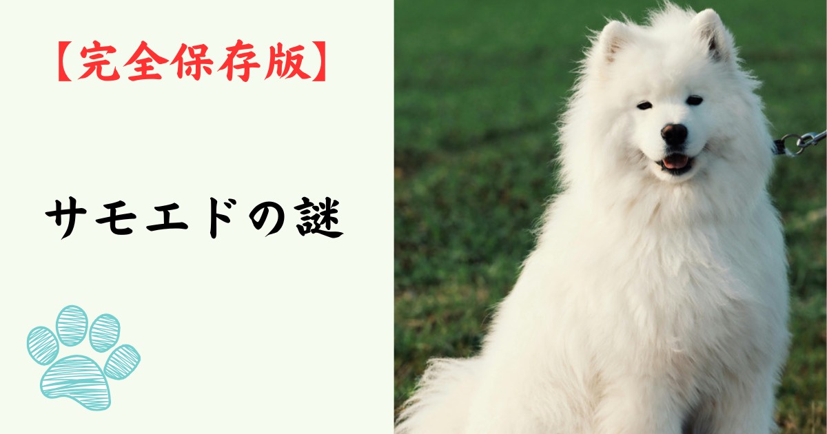 【完全保存版】サモエドの謎：なぜ「サモエド・スマイル」なの？　極寒のシベリアが育んだ白い微笑みの天使！