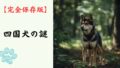 【完全保存版】四国犬の謎：なぜ「最も狼に近い」の？　高知の険しい山が磨いた孤高のハンター！