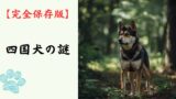 【完全保存版】四国犬の謎：なぜ「最も狼に近い」の？　高知の険しい山が磨いた孤高のハンター！