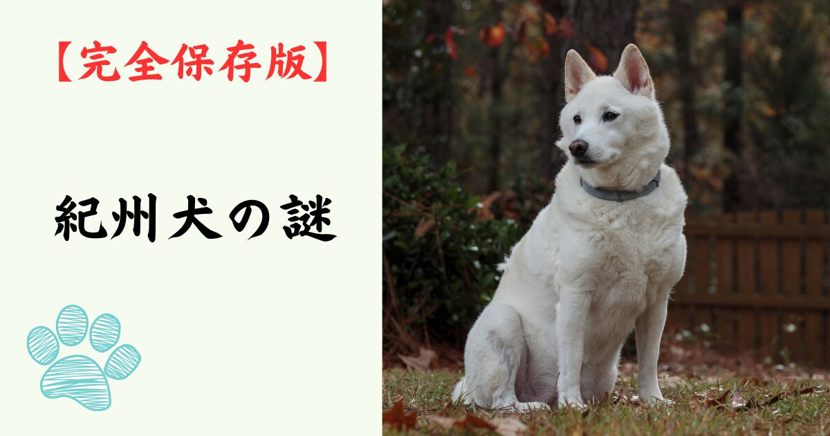 【完全保存版】紀州犬の謎：なぜ「猪猟の勇者」なの？　静寂の中に秘めた驚異の身体能力！