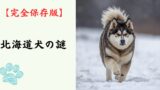 【完全保存版】北海道犬の謎：なぜ「雪原の勇者」なの？　アイヌと共にヒグマへ立ち向かった不屈の精神！