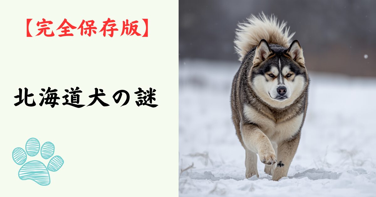 【完全保存版】北海道犬の謎：なぜ「雪原の勇者」なの？　アイヌと共にヒグマへ立ち向かった不屈の精神！