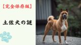 【完全保存版】土佐犬の謎：なぜ「最強の横綱」なの？　強靭な肉体と静かなる慈愛を持つ守護者！