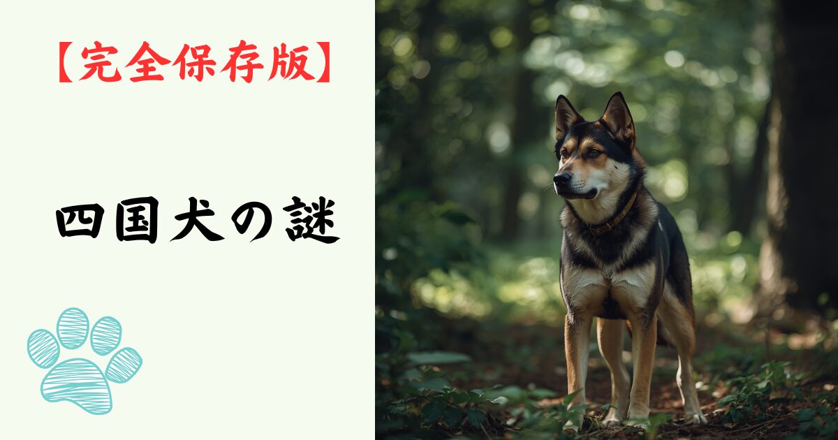 【完全保存版】四国犬の謎：なぜ「最も狼に近い」の？　高知の険しい山が磨いた孤高のハンター！
