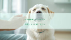 犬の歯周病とデンタルケア｜放置するリスクと、歯みがきを続ける5つのコツ